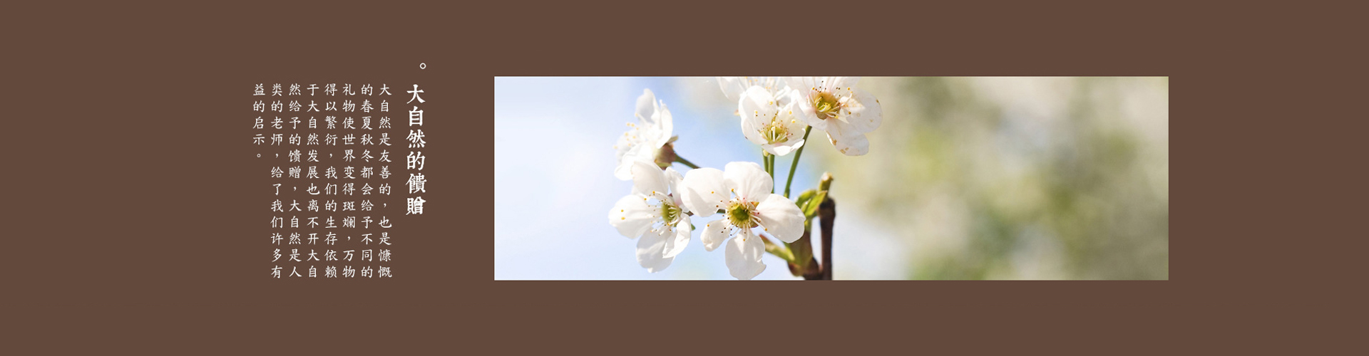 k*a様 宋畫花卉草蟲選集　新品額付　昭和61年発行　ニ玄社 k*a様 宋畫花卉草蟲選集 新品額付 昭和61年発行 ニ玄社 秋の七草図